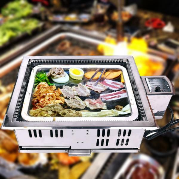 Indoor Teppanyaki Grill Built In Grill